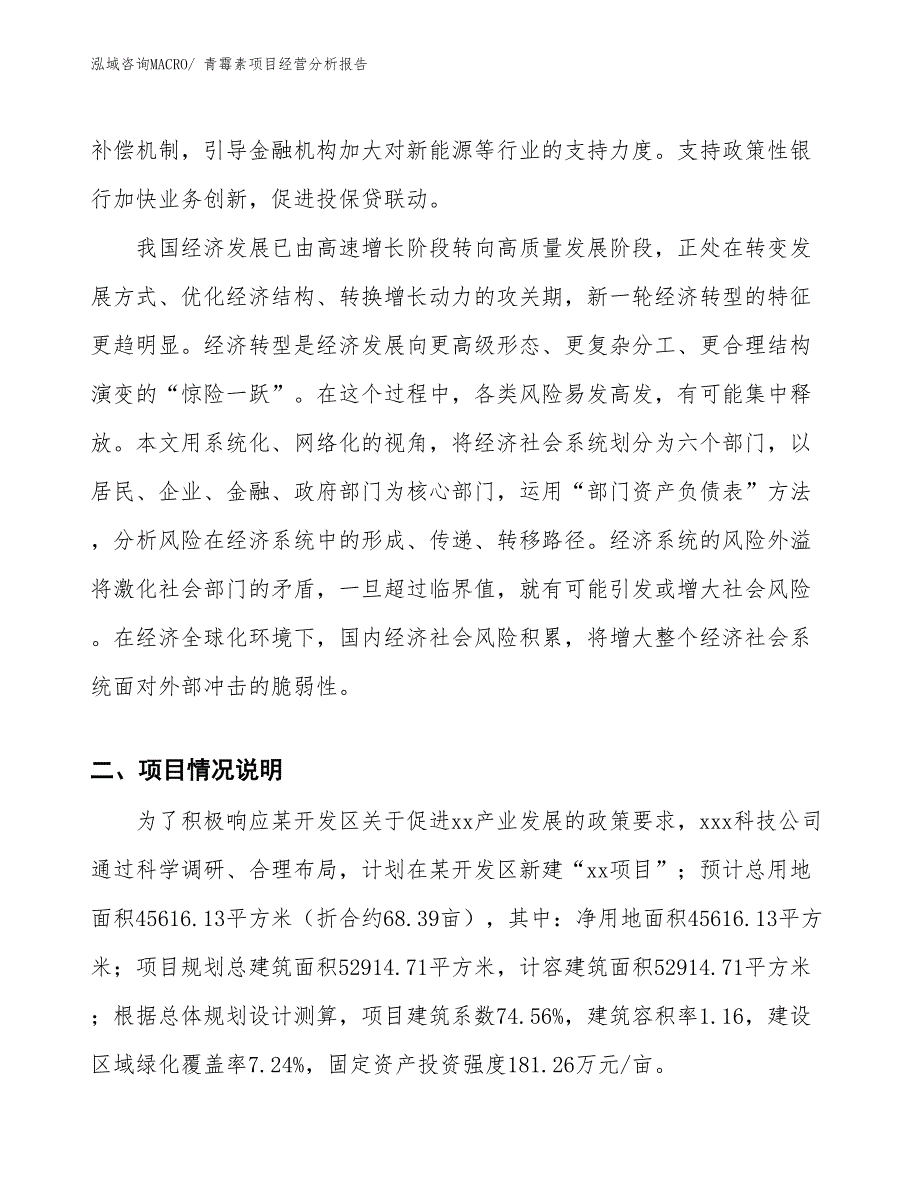 青霉素项目经营分析报告_第2页