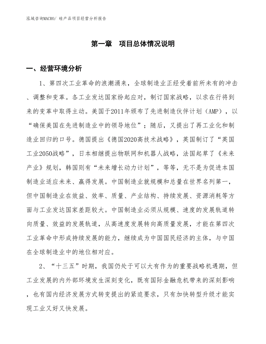 硅产品项目经营分析报告_第1页