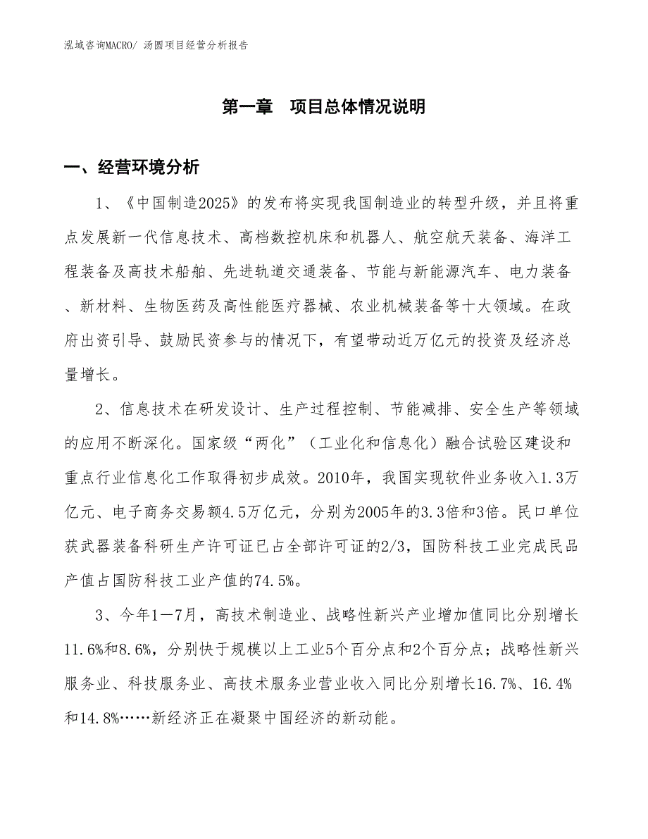 汤圆项目经营分析报告_第1页