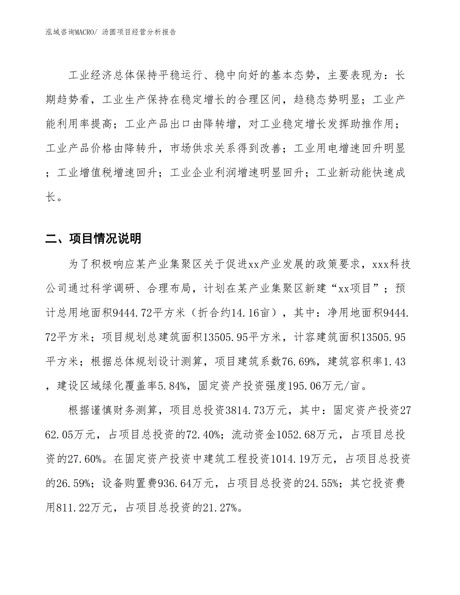 汤圆项目经营分析报告_第2页