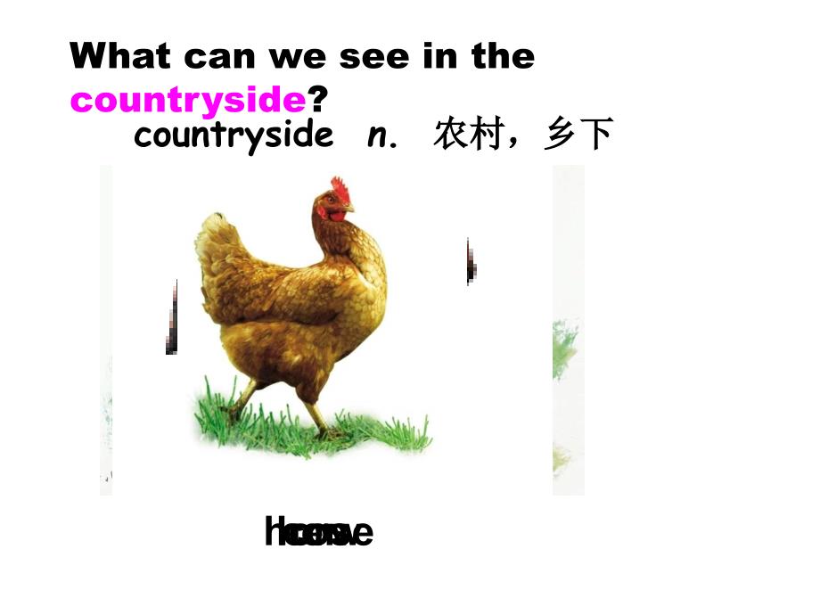 Unit 4 Our World Topic 1 Section A 课件 (仁爱版八年级上).ppt_第2页