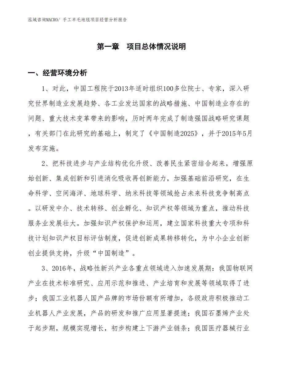 手工羊毛地毯项目经营分析报告_第1页