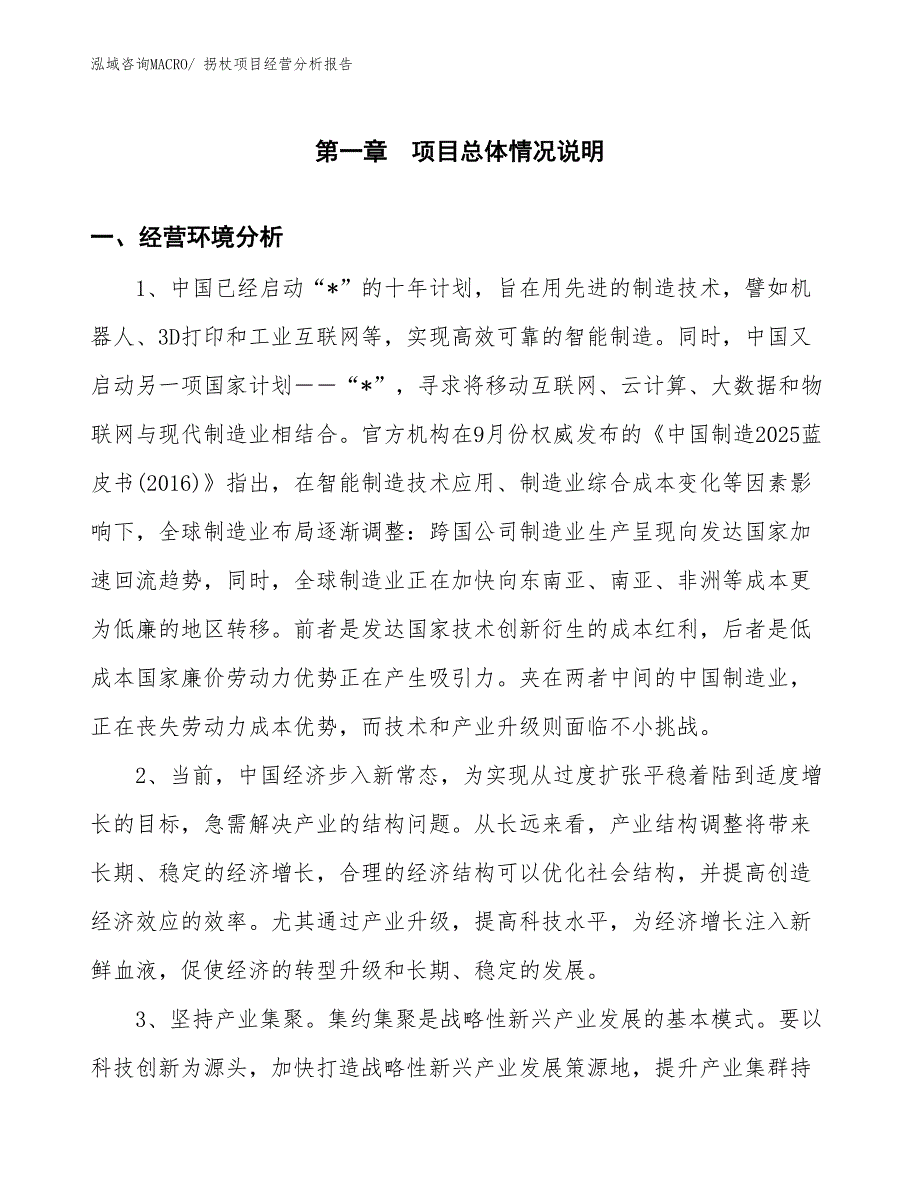 拐杖项目经营分析报告_第1页