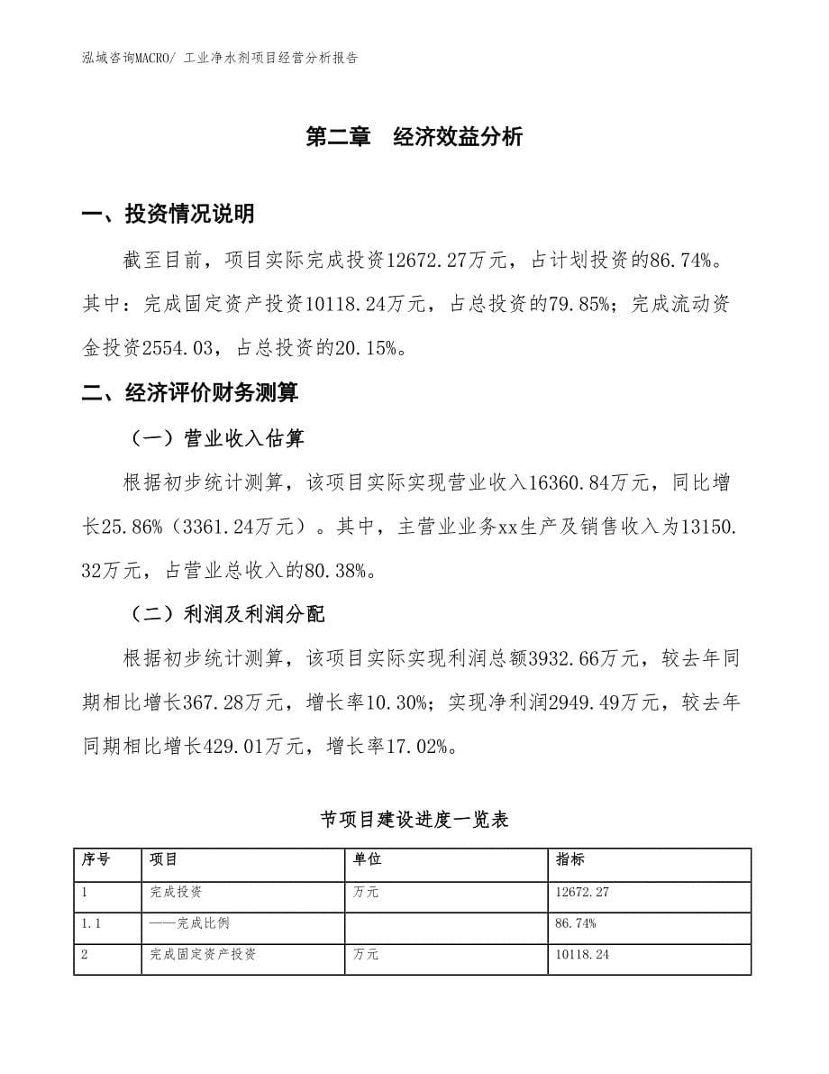 工业净水剂项目经营分析报告_第5页