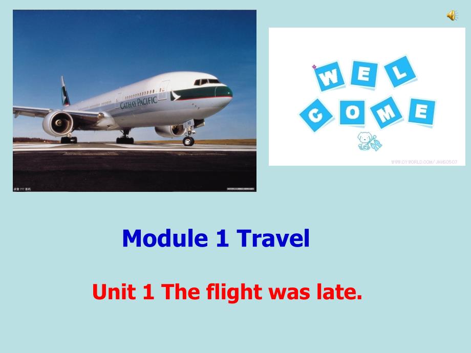 Unit 1 The flight was late 课件3（外研版九年级下）.ppt_第1页