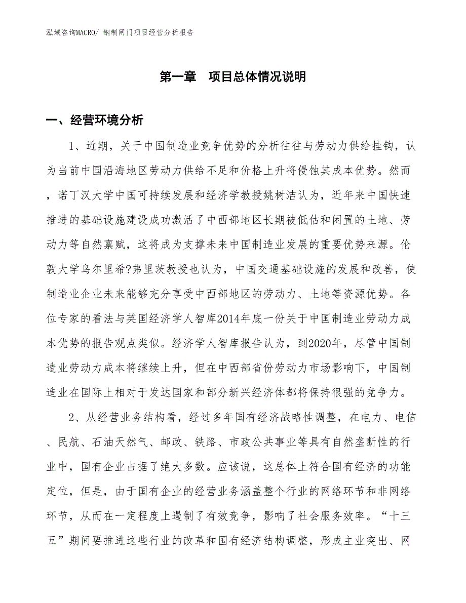 钢制闸门项目经营分析报告_第1页