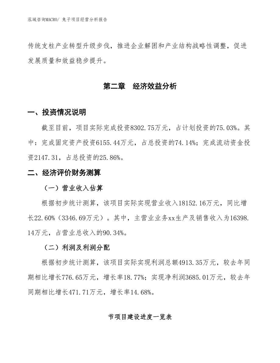 兔子项目经营分析报告_第5页