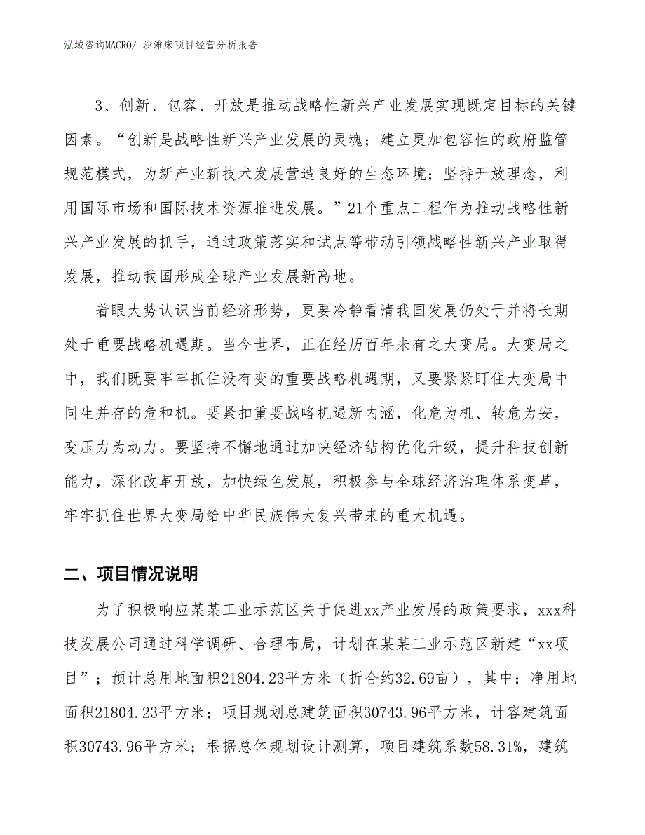 沙滩床项目经营分析报告_第2页