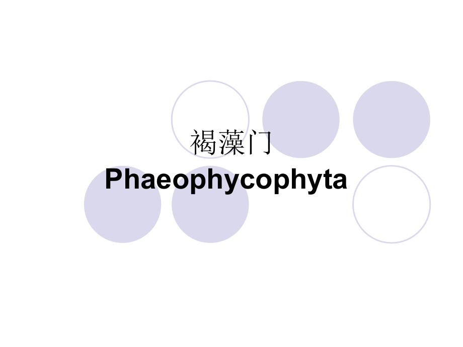 褐藻门 Phaeophycophyta.ppt_第1页