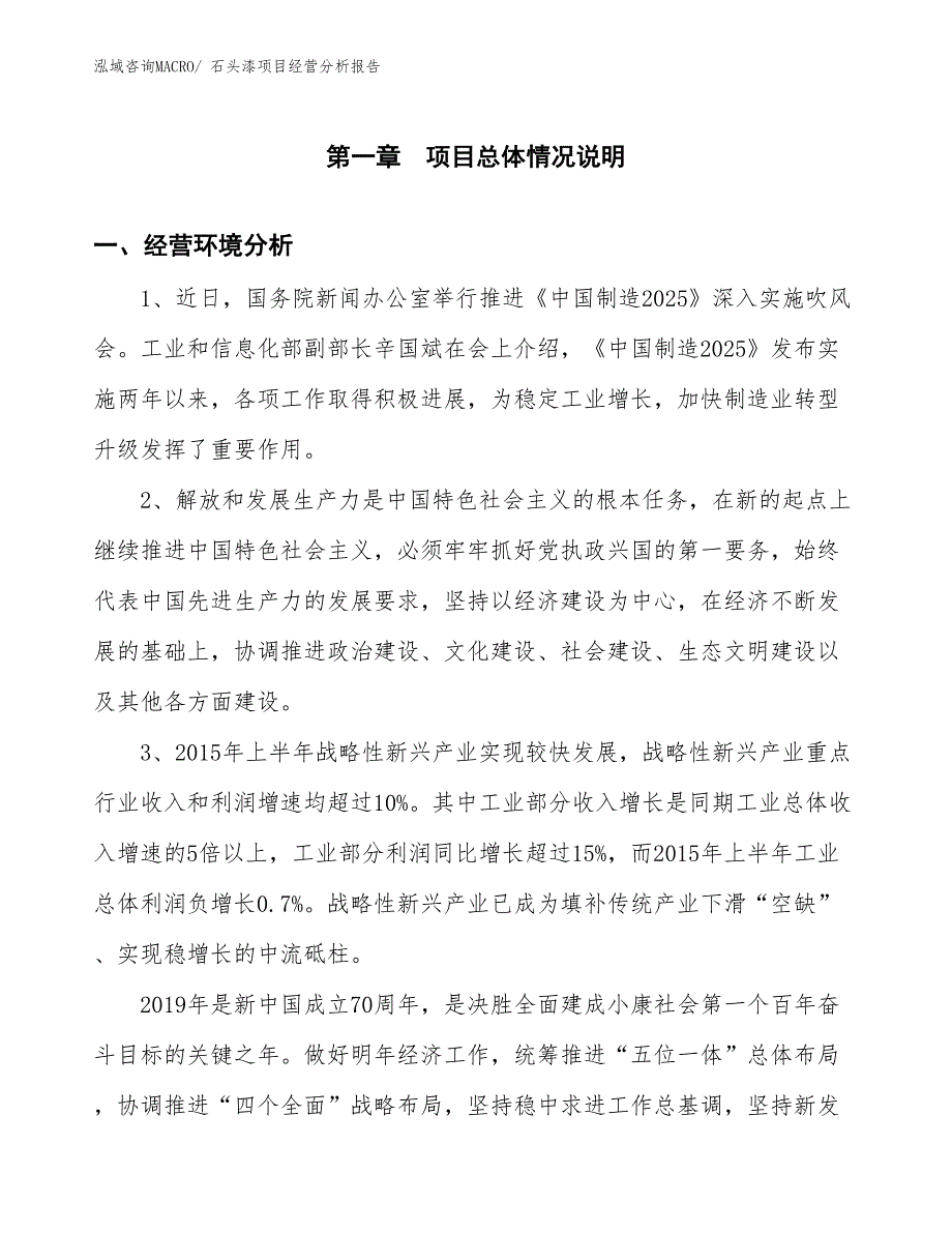 石头漆项目经营分析报告_第1页