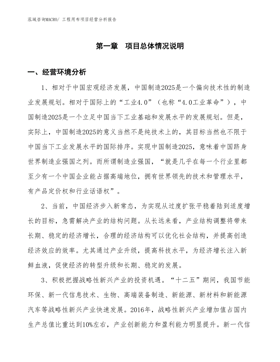 工程用布项目经营分析报告_第1页