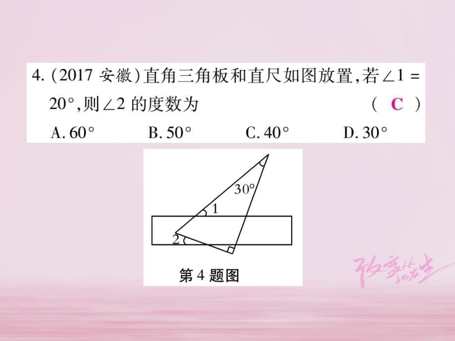 2018-2019学年七年级数学下册阶段测评二习题课件(新版)新人教版_第5页