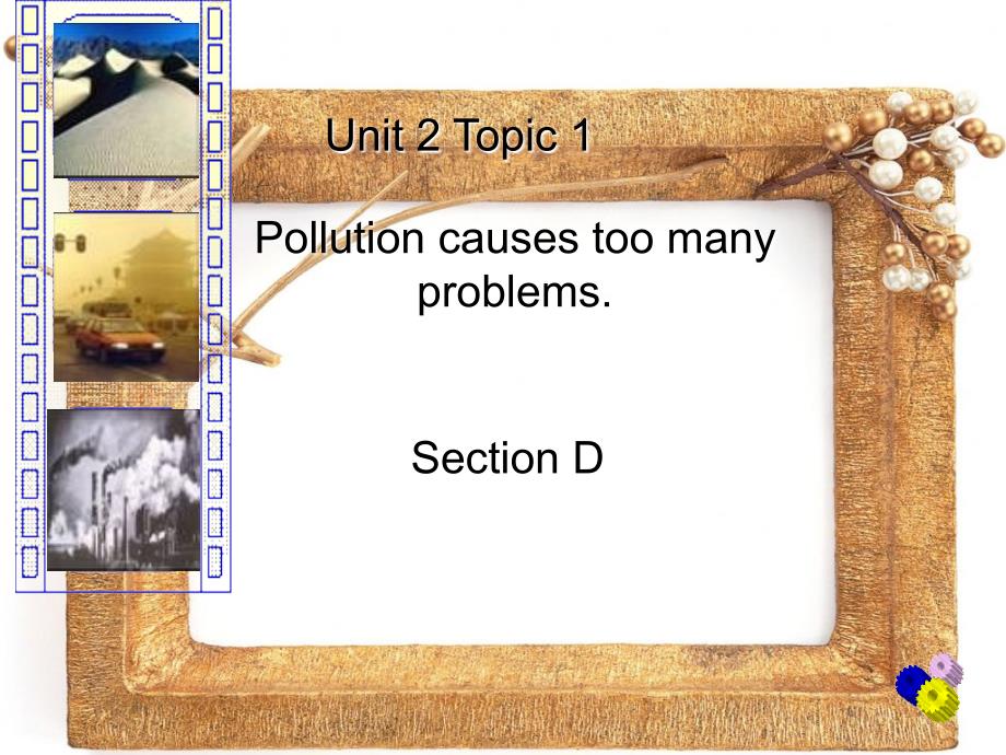 Unit2 Topic1 Pollution causes too many problems SectionD 课件（仁爱湘教版九年级上）.ppt_第1页