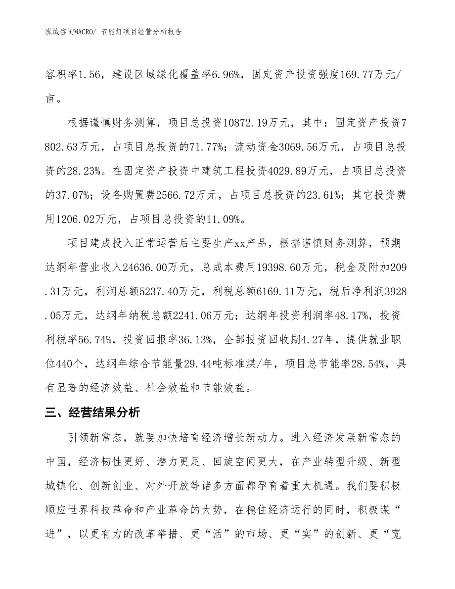 节能灯项目经营分析报告_第4页