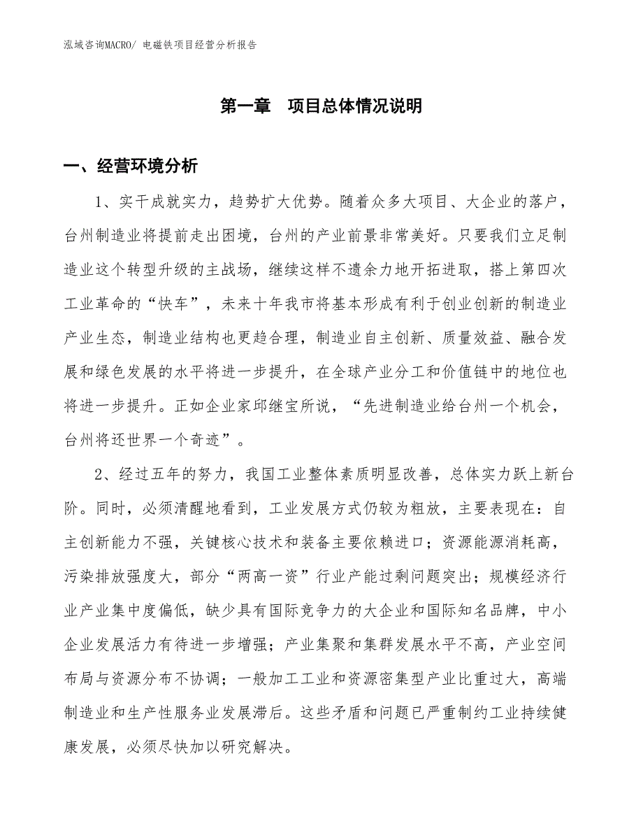 电磁铁项目经营分析报告_第1页