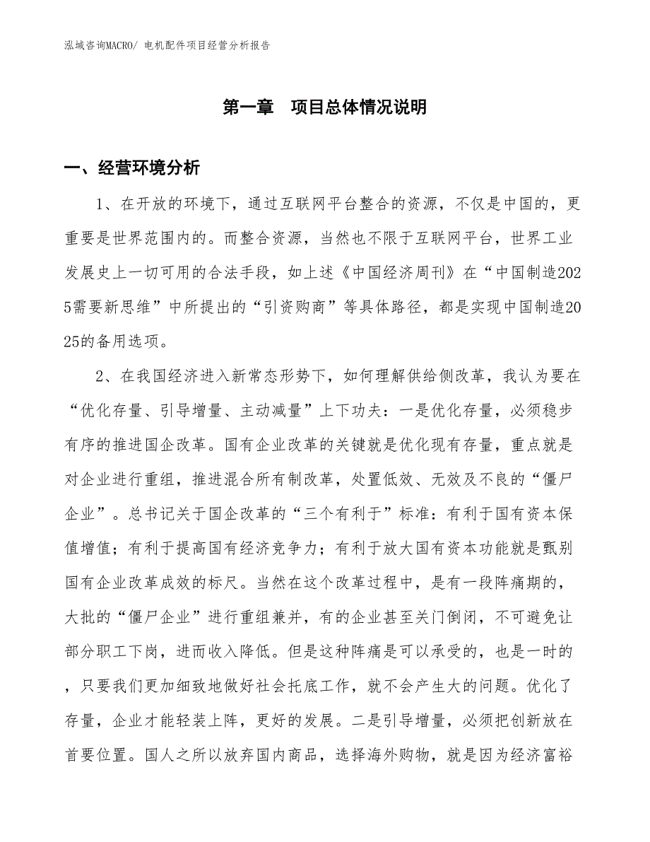 电机配件项目经营分析报告_第1页