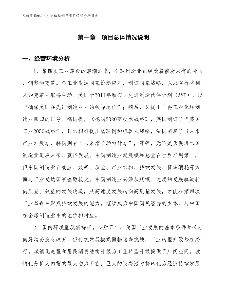 电熔锆钢玉项目经营分析报告_第1页