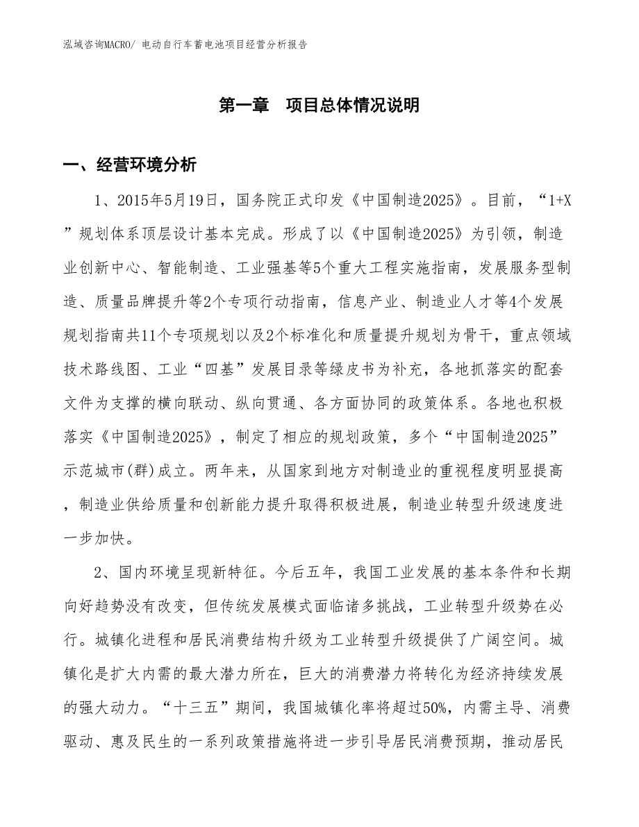 电动自行车蓄电池项目经营分析报告_第1页