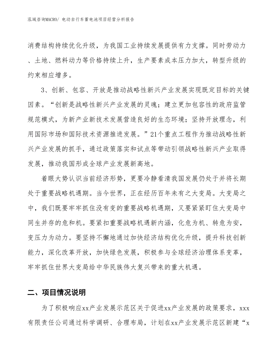 电动自行车蓄电池项目经营分析报告_第2页