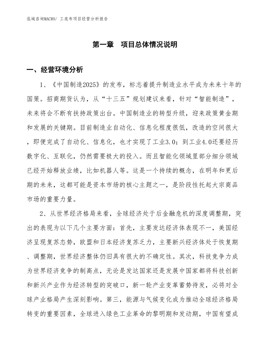 工底布项目经营分析报告_第1页