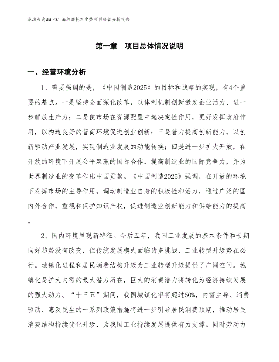 海绵摩托车坐垫项目经营分析报告_第1页