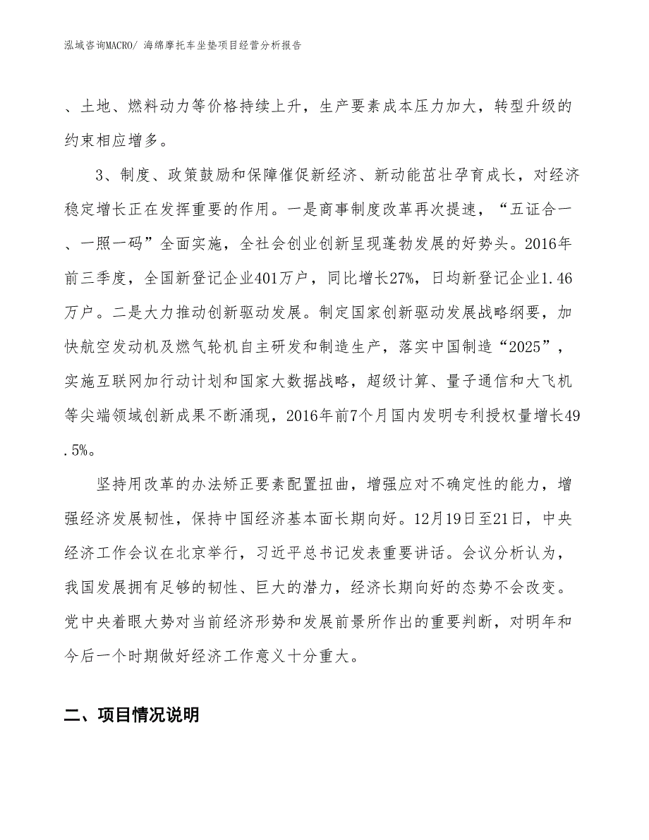 海绵摩托车坐垫项目经营分析报告_第2页