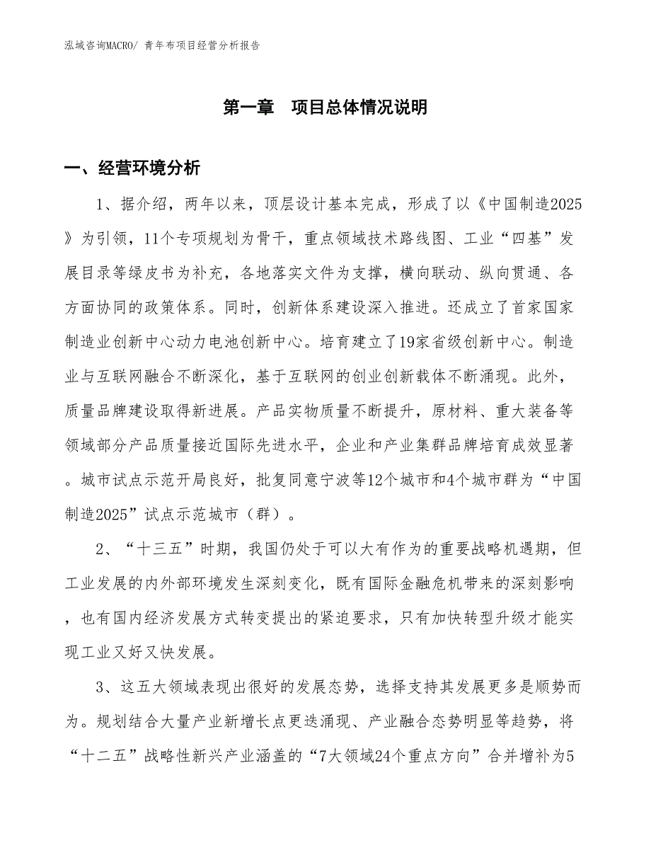 青年布项目经营分析报告_第1页