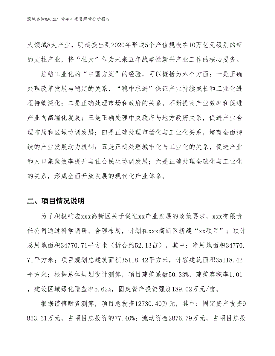 青年布项目经营分析报告_第2页