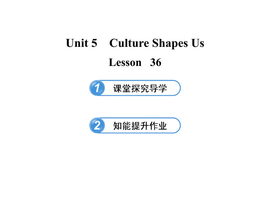 Unit 5 Culture Shapes Us Lesson 36 配套课件（冀教版九年级下）.ppt_第1页