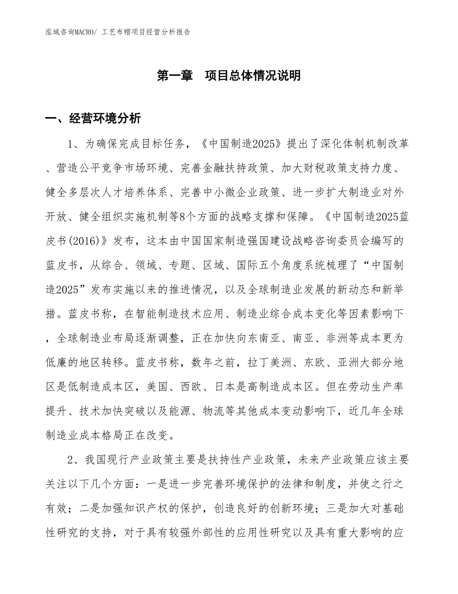 工艺布帽项目经营分析报告_第1页