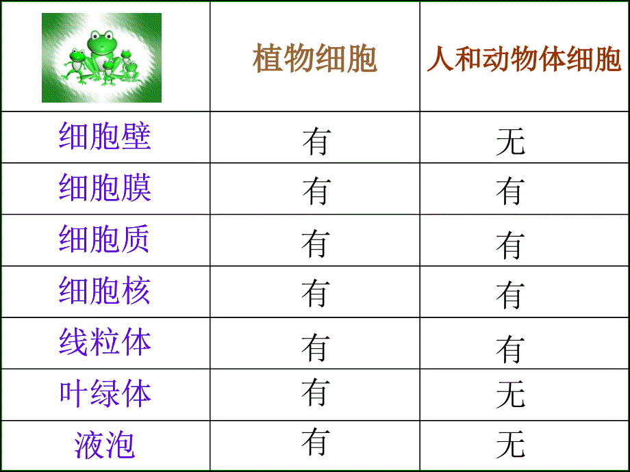 苏科版生物七年级下册复习全_第3页