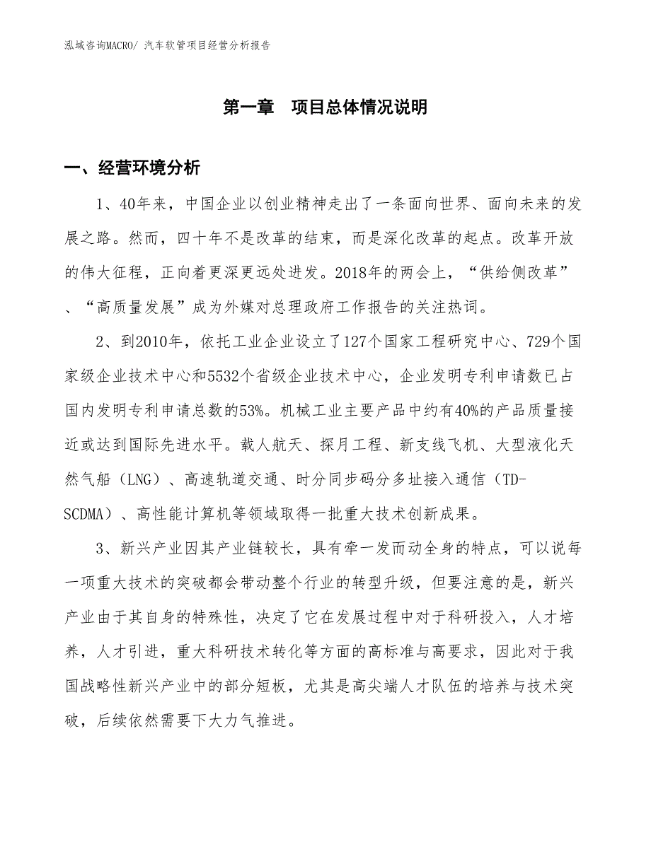 汽车软管项目经营分析报告_第1页