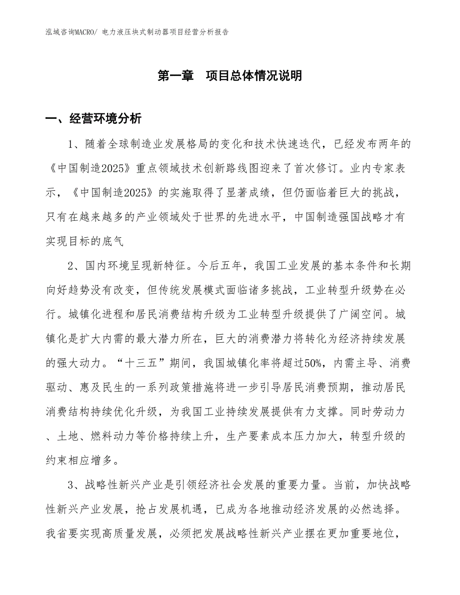 电力液压块式制动器项目经营分析报告_第1页