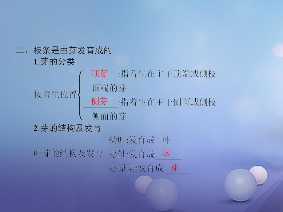 2018-2019学年七年级生物上册3.2.2植株的生长课件(新版)新人教版_第3页