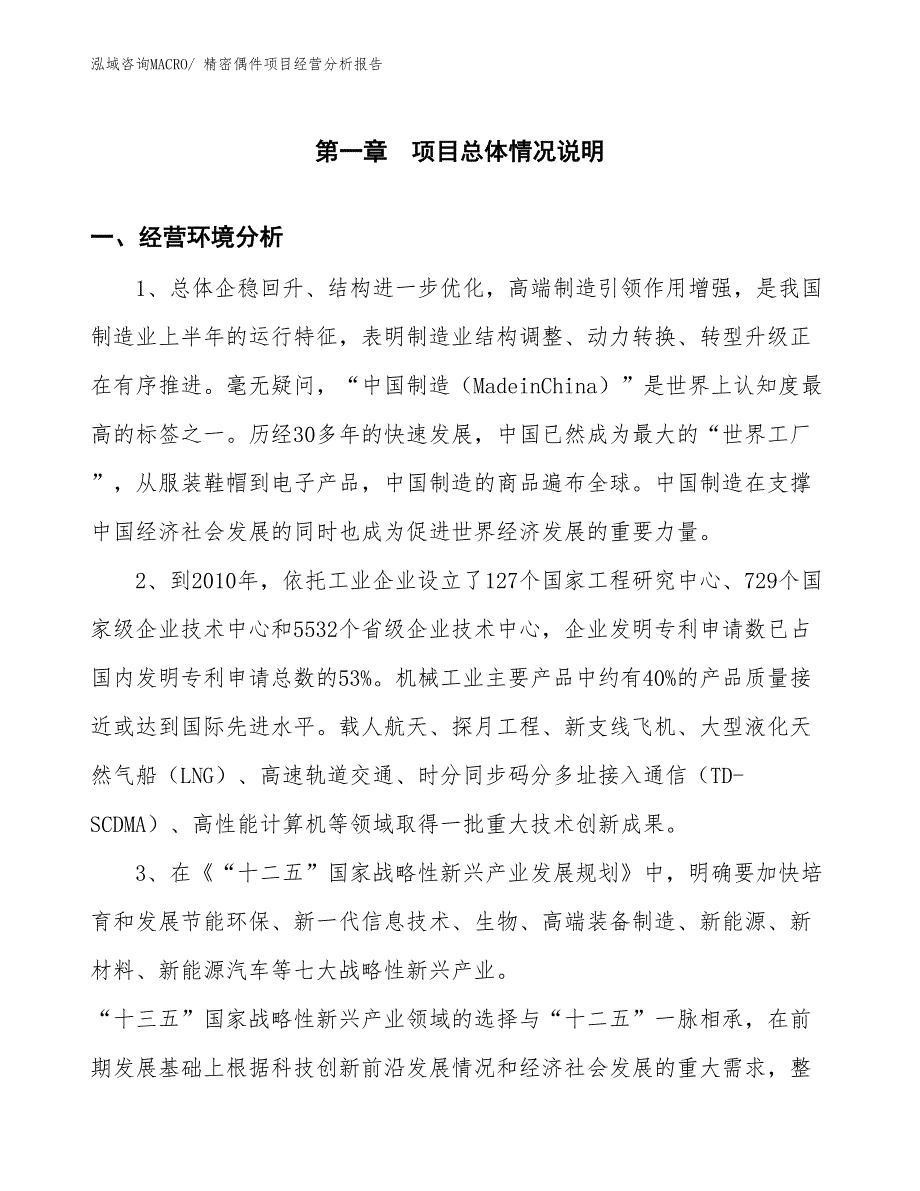 精密偶件项目经营分析报告_第1页