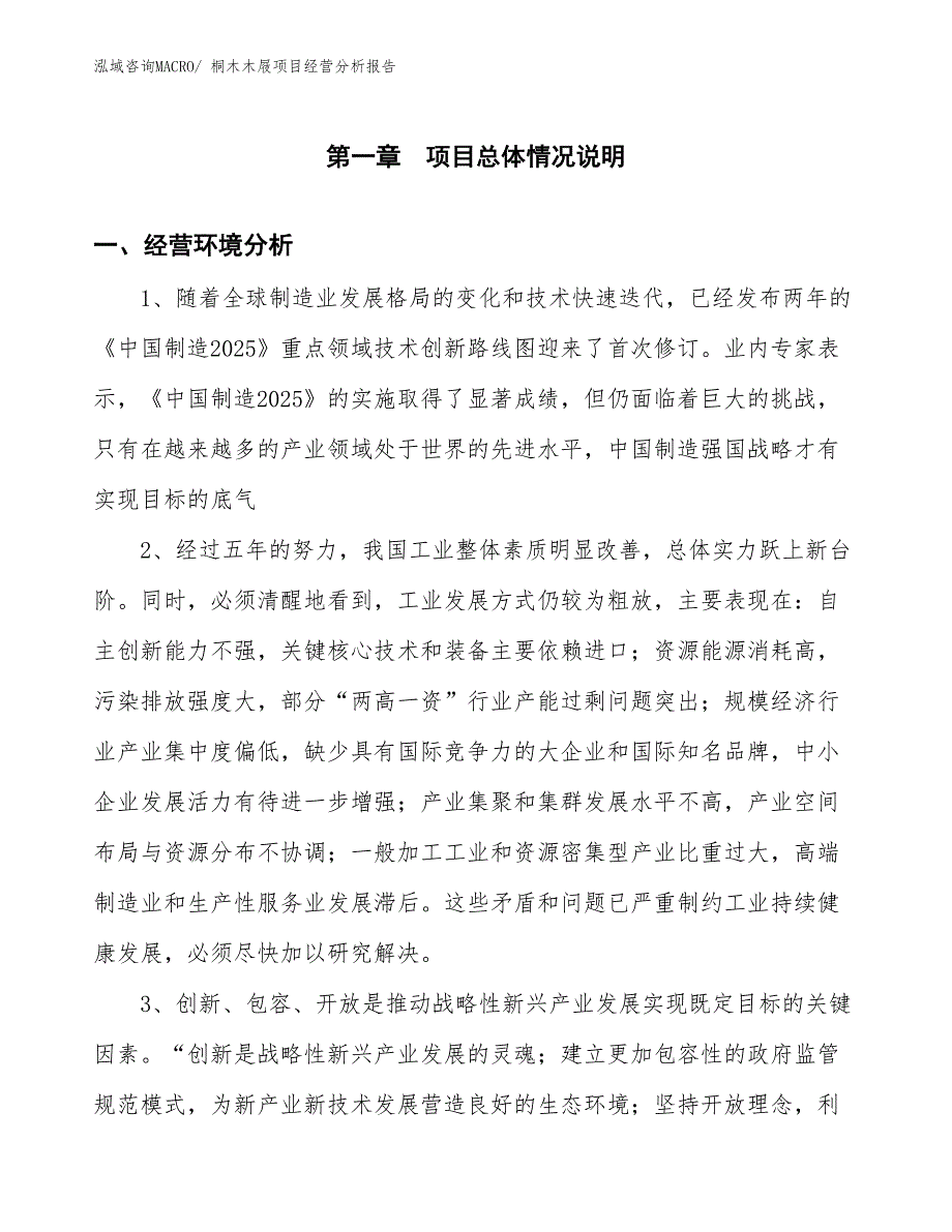 桐木木屐项目经营分析报告_第1页