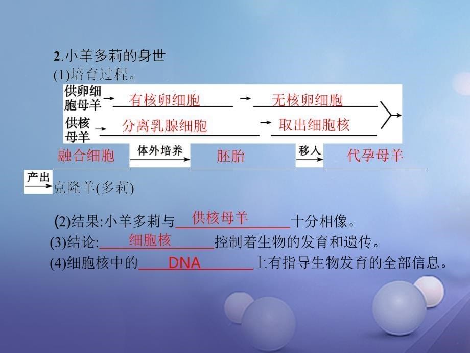 2018-2019学年七年级生物上册2.1.4细胞的生活课件(新版)新人教版_第5页