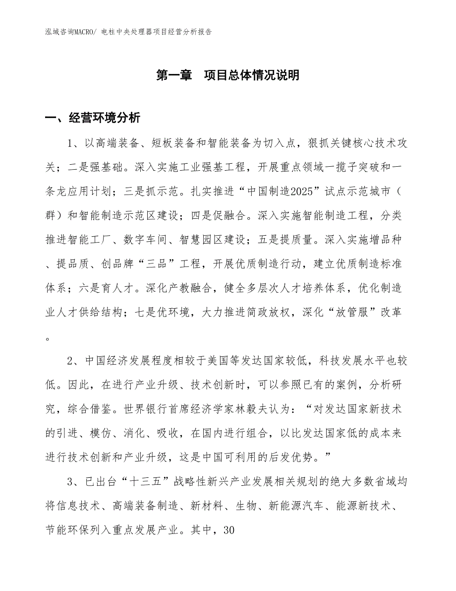 电柱中央处理器项目经营分析报告_第1页