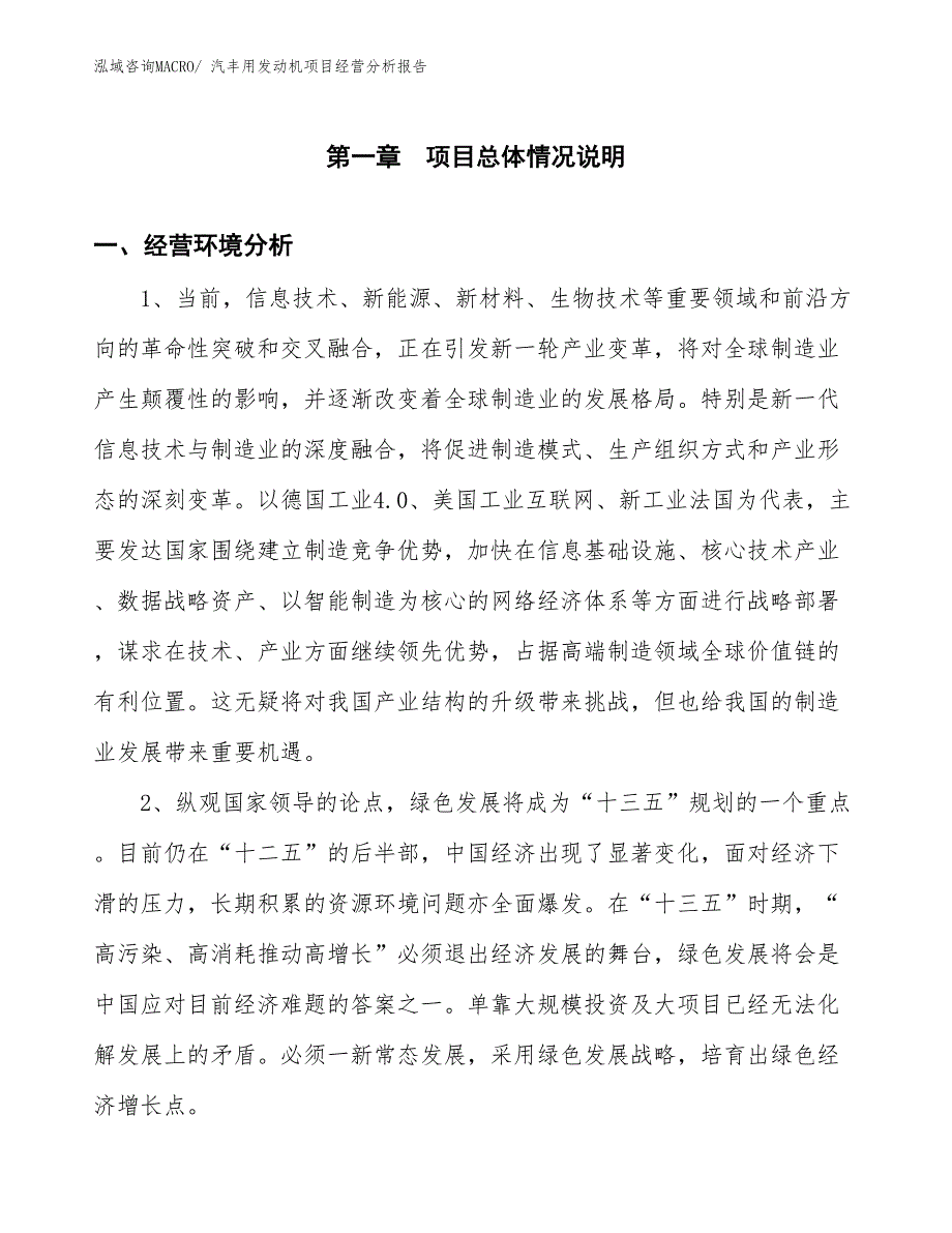 汽丰用发动机项目经营分析报告_第1页