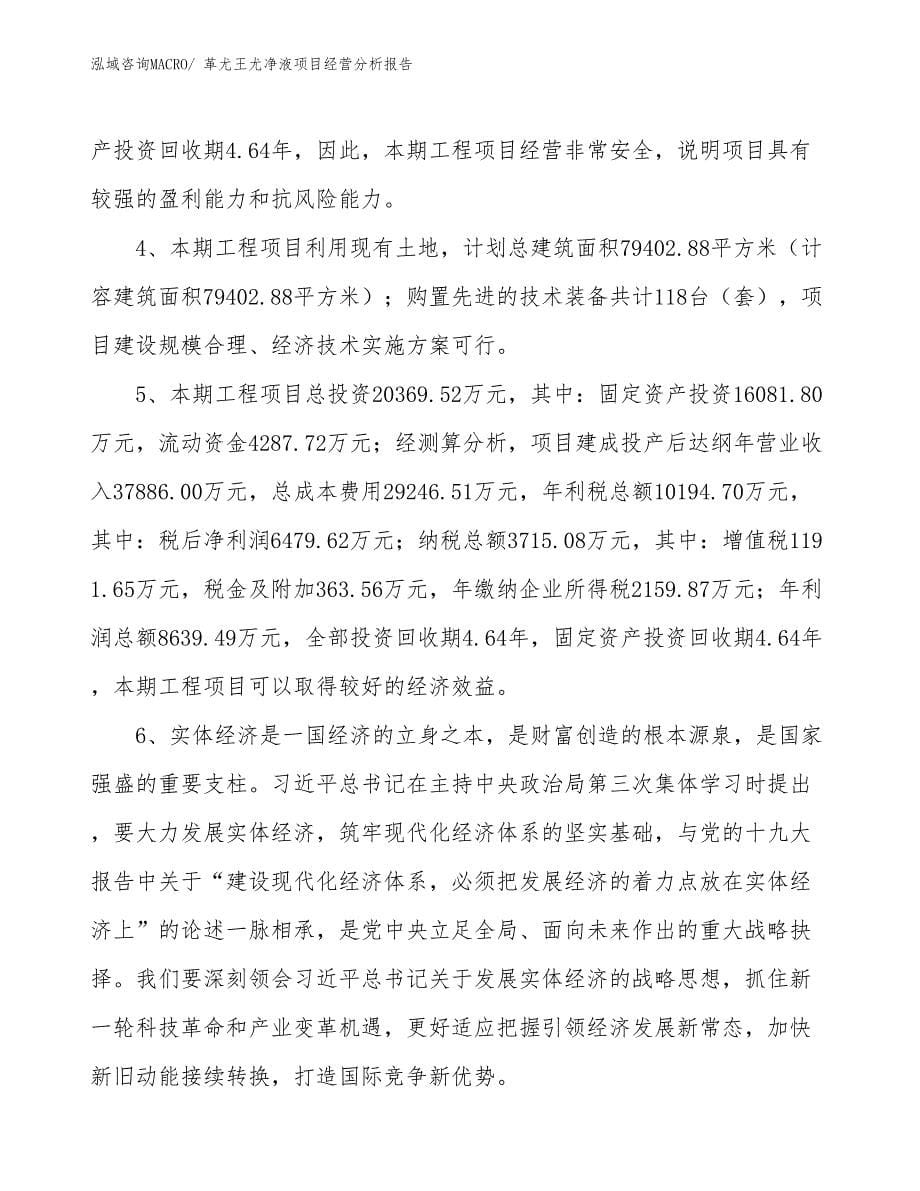 革尤王尤净液项目经营分析报告_第5页