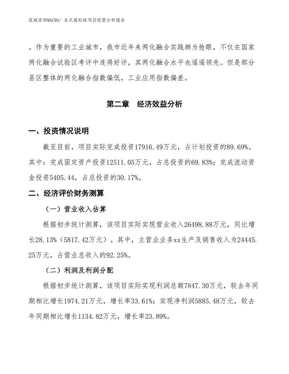 各式摇粒绒项目经营分析报告_第5页