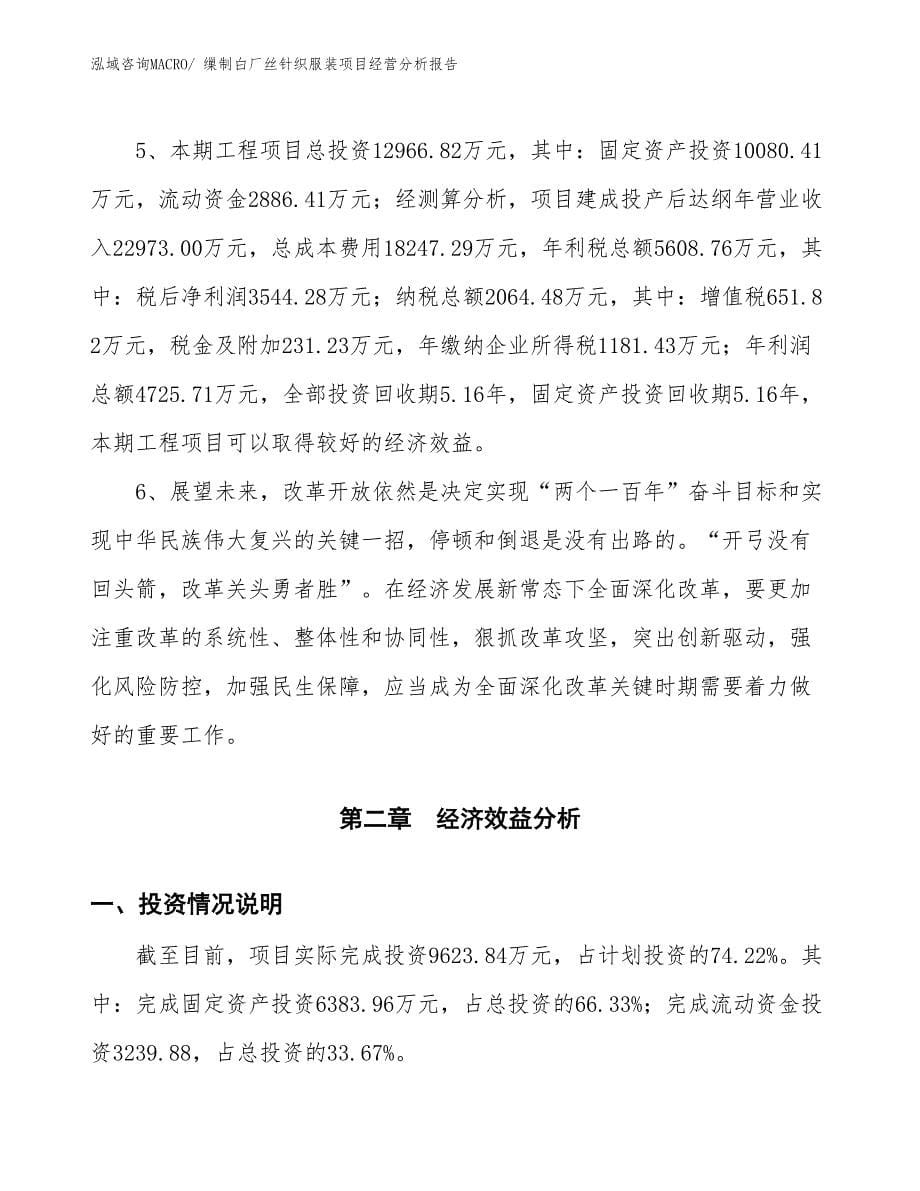 缫制白厂丝针织服装项目经营分析报告_第5页