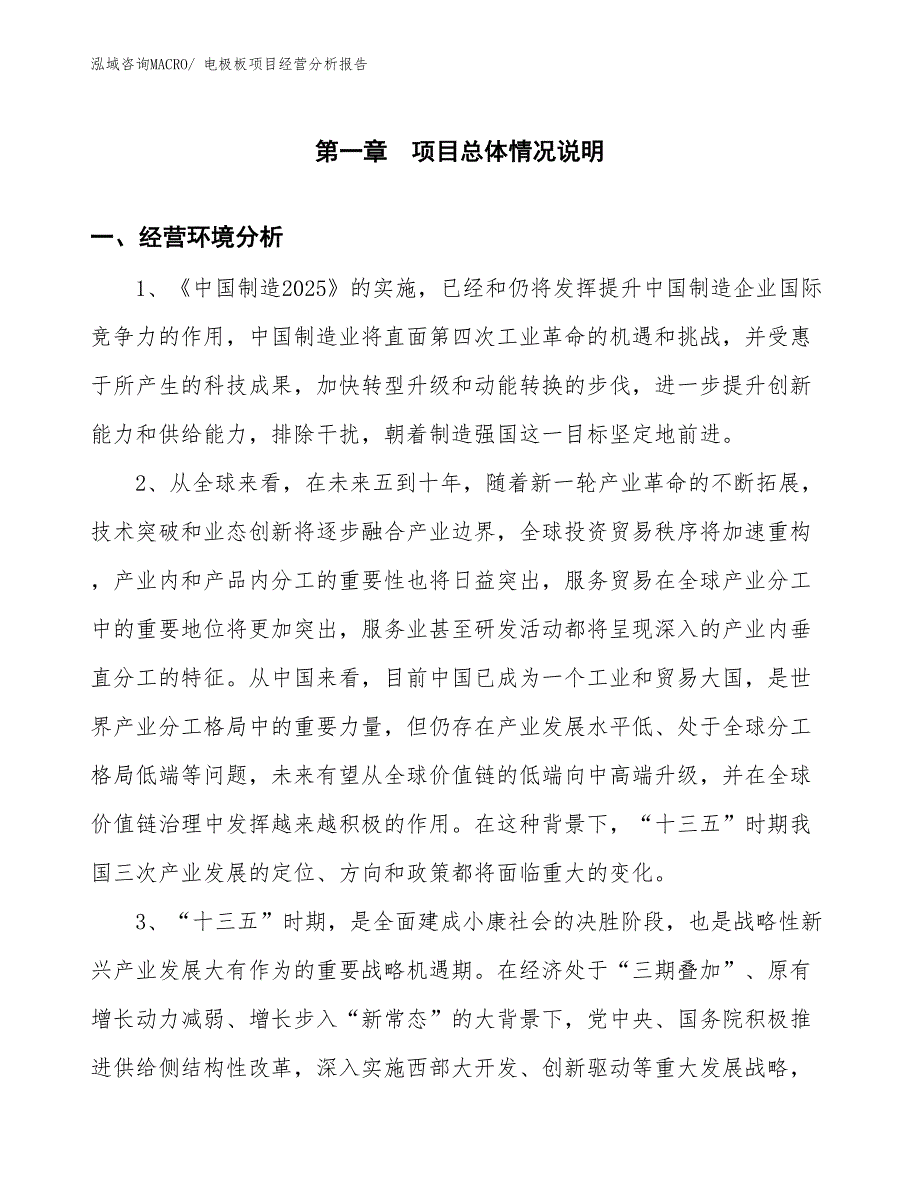 电极板项目经营分析报告_第1页