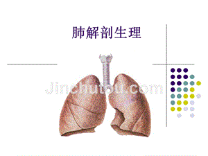 肺解剖生理 赵文超.ppt