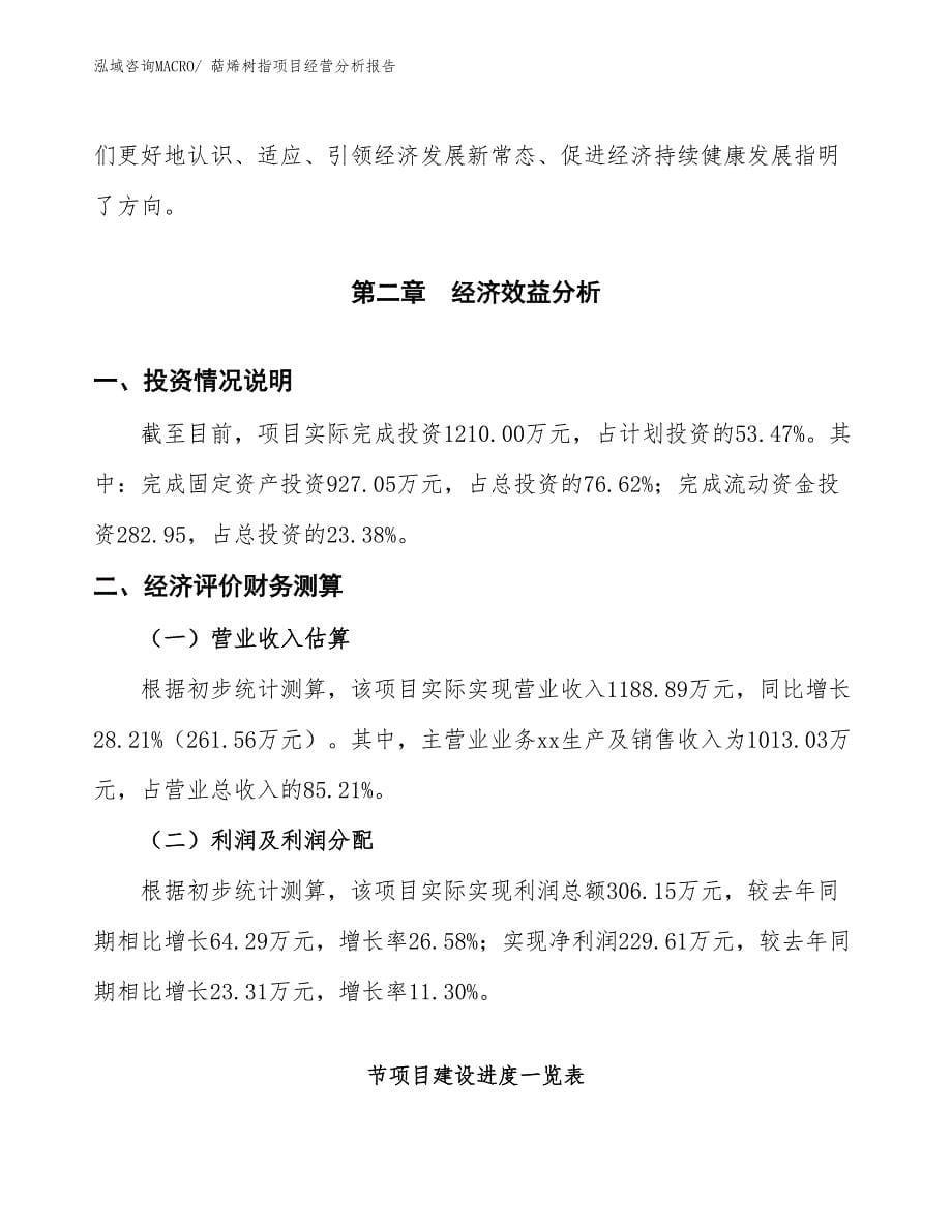 萜烯树指项目经营分析报告_第5页