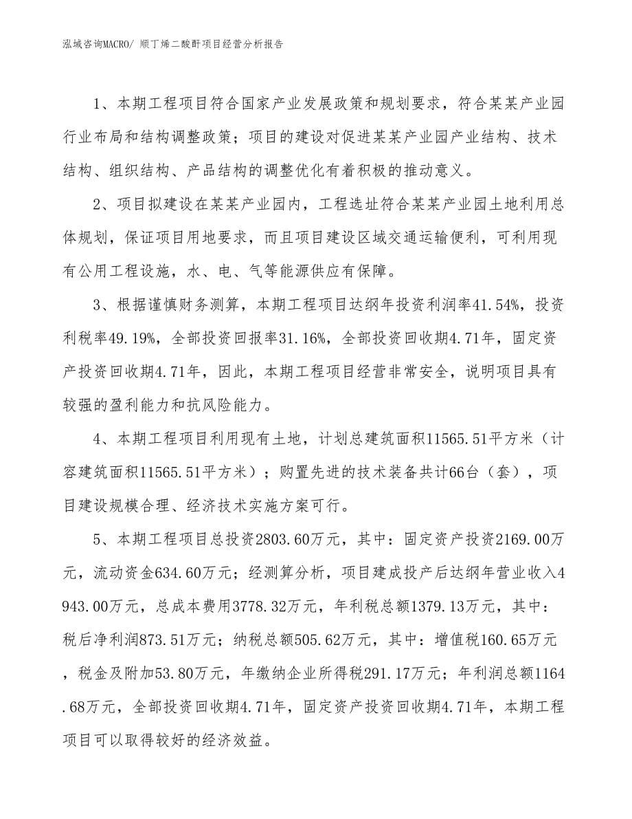 顺丁烯二酸酐项目经营分析报告_第5页