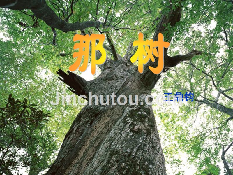 《那树》课件（新人教版)2.ppt_第1页