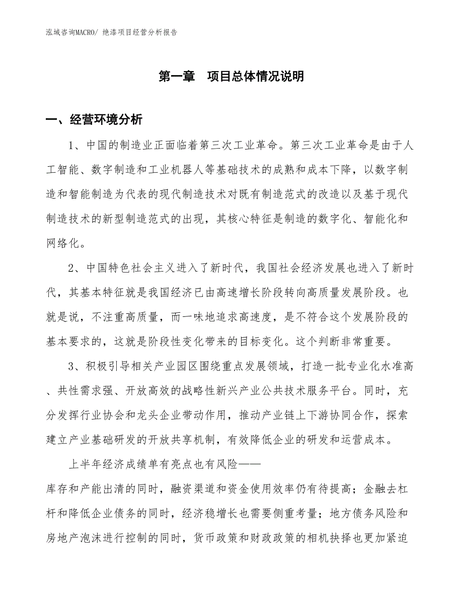 绝漆项目经营分析报告_第1页