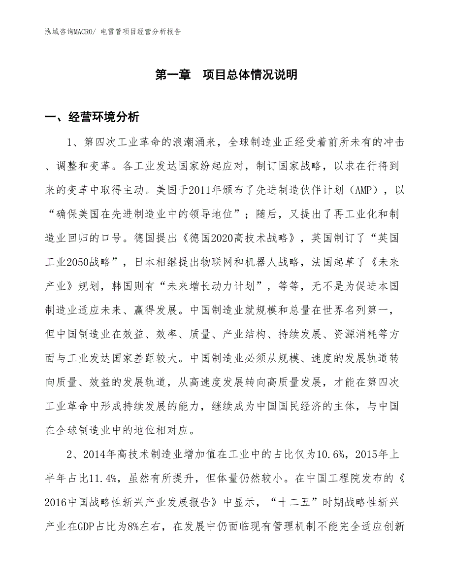 电雷管项目经营分析报告_第1页