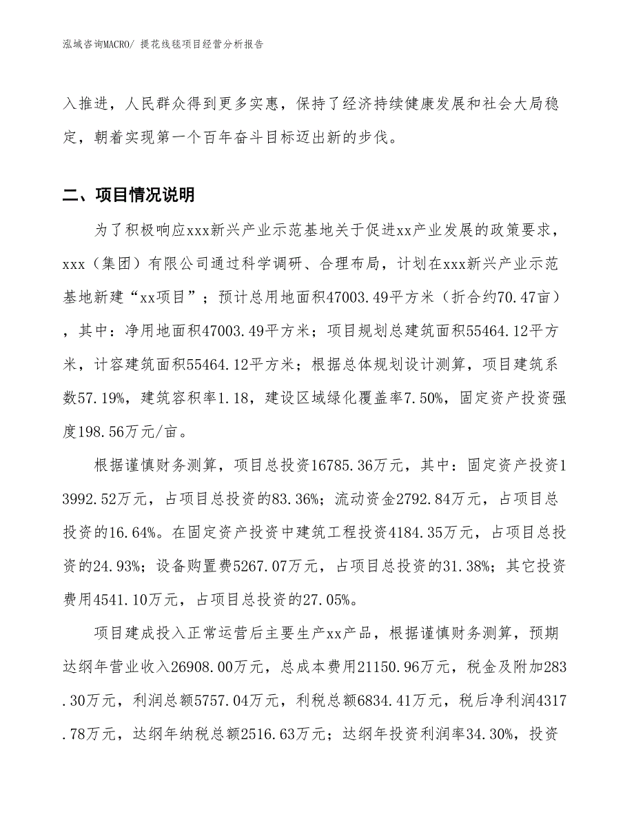 提花线毯项目经营分析报告_第3页